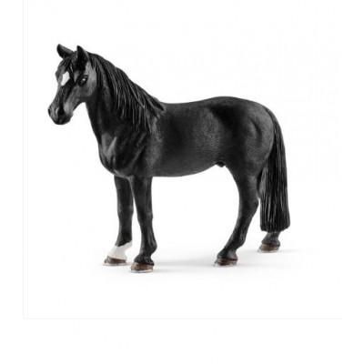 Caballo Capón Tennessee Walker