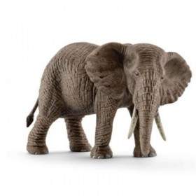 Figura Elefante Africano Hembra