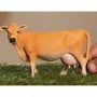 Figura Schleich, Vaca Jersey